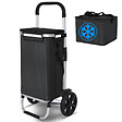 VOUNOT - Chariot de course pliable aluminium 2 roues avec sac isotherme noir - vignette