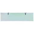 VIDAXL - vidaXL Étagère murale pour salon chambre salle de bain Verre 80x20 cm 8 mm - vignette