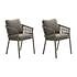 HESPERIDE - Lot de 2 fauteuils de jardin Oriengo café - vignette