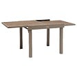 HESPERIDE - Table de jardin 8 places Piazza extensible café - vignette