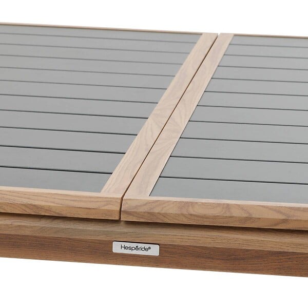 HESPERIDE - Table de jardin extensible "Axiome" graphite & honey 10 places en aluminium - large