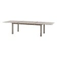 HESPERIDE - Table de jardin extensible "Allure" effet bois & avoine 12 places en aluminium - vignette