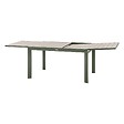 HESPERIDE - Table de jardin extensible coulissante "Évasion" effet bois lin & vert laurier 10 places lates en aluminium - vignette