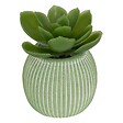 ATMOSPHERA - Plante artificielle petit format "Ubi" H7cm - vignette