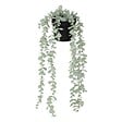 ATMOSPHERA - Eucalyptus artificiel en pot "Merly" vert H51cm - vignette