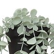 ATMOSPHERA - Eucalyptus artificiel en pot "Merly" vert H51cm - vignette