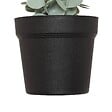 ATMOSPHERA - Eucalyptus artificiel en pot "Merly" vert H51cm - vignette
