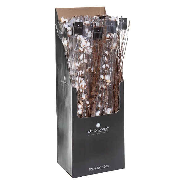 ATMOSPHERA - Fleurs séchées naturelles H100cm - large