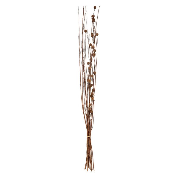 ATMOSPHERA - Fleurs séchées naturelles H100cm - large