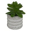 ATMOSPHERA - Plante artificielle petit format "Ubi" H7cm - vignette