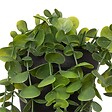 ATMOSPHERA - Eucalyptus artificiel en pot "Merly" vert H51cm - vignette