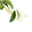 ATMOSPHERA - Plante artificielle Nippo H.29cm blanc - vignette