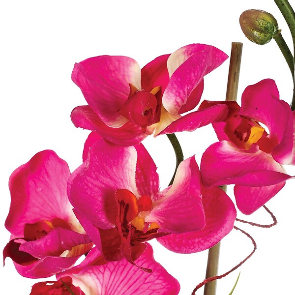 ATMOSPHERA - Composition florale d'Orchidées artificielles Vase en Verre D. 18 x H. 35 cm - large