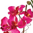 ATMOSPHERA - Composition florale d'Orchidées artificielles Vase en Verre D. 18 x H. 35 cm - vignette
