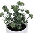 ATMOSPHERA - Plante artificielle en pot "Tayli" H18cm - vignette