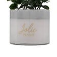ATMOSPHERA - Plante artificielle en pot "Tayli" H18cm - vignette