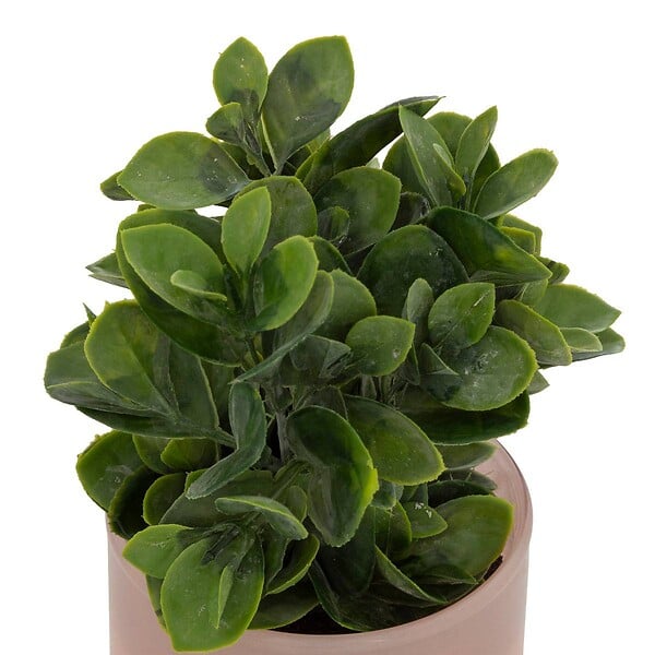 ATMOSPHERA - Plante artificielle en pot "Tayli" H18cm - large