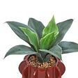 ATMOSPHERA - Plante artificielle Homy H.28cm - vignette