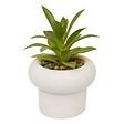 ATMOSPHERA - Plante artificielle en pot Stefi 9x9cm - vignette