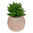 ATMOSPHERA - Plante artificielle petit format "Ubi" H7cm - vignette