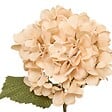 ATMOSPHERA - Fleur artificielle Fria H62cm - vignette