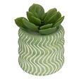 ATMOSPHERA - Plante artificielle petit format "Ubi" H7cm - vignette