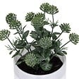 ATMOSPHERA - Plante artificielle en pot "Tayli" H18cm - vignette