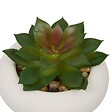 ATMOSPHERA - Plante artificielle en pot Stefi 9x9cm - vignette