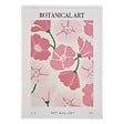 ATMOSPHERA - Affiche encadrée Fleur de rose 50x70cm - vignette