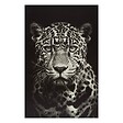 ATMOSPHERA - Toile encadrée "Animaux" 75x115cm - vignette
