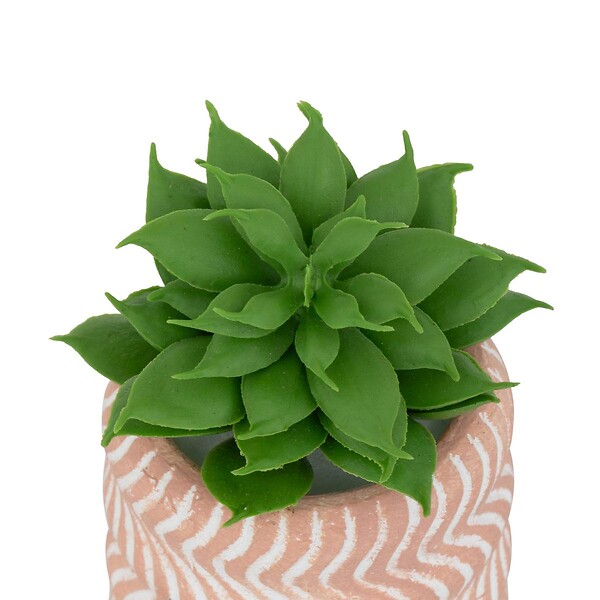 ATMOSPHERA - Plante artificielle petit format "Ubi" H7cm - large