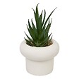 ATMOSPHERA - Plante artificielle en pot Stefi 9x9cm - vignette