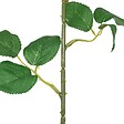ATMOSPHERA - Tige de rose artificielle "Nexi" H50cm - vignette