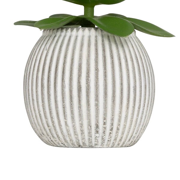 ATMOSPHERA - Plante artificielle petit format "Ubi" H7cm - large