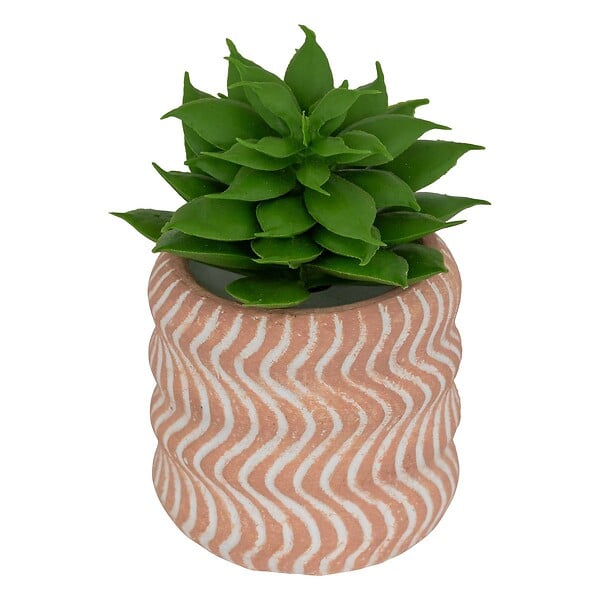 ATMOSPHERA - Plante artificielle petit format "Ubi" H7cm - large