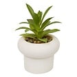 ATMOSPHERA - Plante artificielle en pot Stefi 9x9cm - vignette