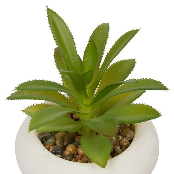 ATMOSPHERA - Plante artificielle en pot Stefi 9x9cm - large