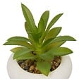 ATMOSPHERA - Plante artificielle en pot Stefi 9x9cm - vignette