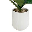 ATMOSPHERA - Ficus artificiel en pot Sky H145cm - vignette