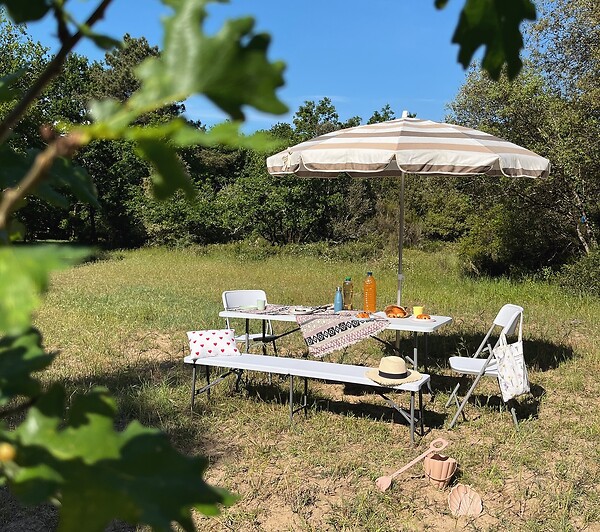 INNOVAXE - Table pliante en résine avec poignée de transport - large
