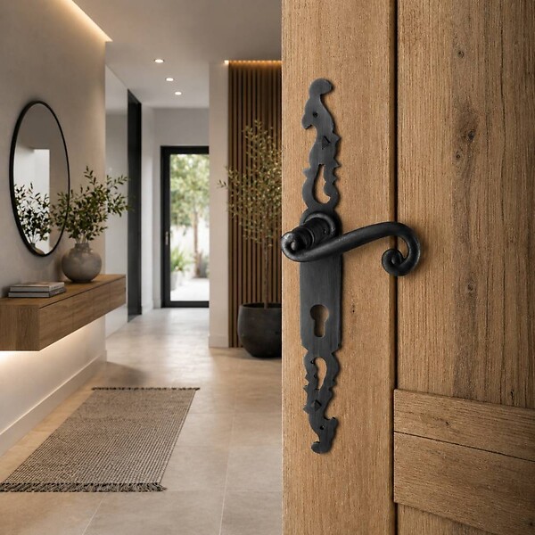 SECURY-T - Poignées de porte fer forgé COQ vieil argent 330X36 mm Trou de cylindre i - large