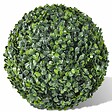 VIDAXL - vidaXL Plante artificielle 2 pcs 35 cm - vignette