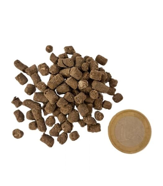 FLORIVERT - Engrais organique Flori Or Humus 20 kg 100% naturel, pour potagers et plantations - Florivert NEG02046 - large