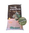 FLORIVERT - Pack de 20 sacs de terreau français pour plantes vertes et fleurs Flori Horticole 70L NEG01644-20x70 - vignette