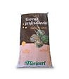 FLORIVERT - Pack de 10 sacs de terreau français pour plantes vertes et fleurs Flori Horticole 70L NEG01644-10x70 - vignette