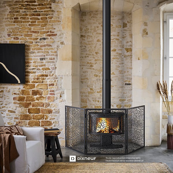 DIXNEUF - Pare-feu acier Floria - Noir - 65x65x75 cm - large