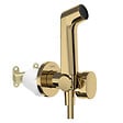 HANSGROHE - Douchette bidette EcoSmart S avec robinet d'arret et corps d'encastrement Aspect doré poli - vignette