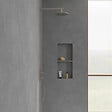 VILLEROY ET BOCH - Douche de tête  Universal ronde Brushed Nickel Matt - vignette
