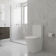 SWISS AQUA TECHNOLOGIES - Brevis ensemble WC à poser PMR sans bride  & mécanisme de chasse GEBERIT + abattant SoftClose, blanc brillant (SATBRE32G) - vignette