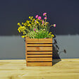 CERLAND - BAC A FLEURS CARRE 8L - vignette